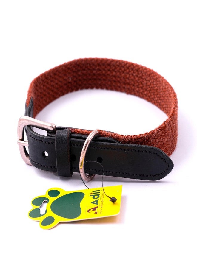 ADIL'S Plain Cotton With Leather Dog Collar,Adjustable Collar Suitable Dogs,(Width: 1 Inch),Orange Brown,Size: Xl - Image 1